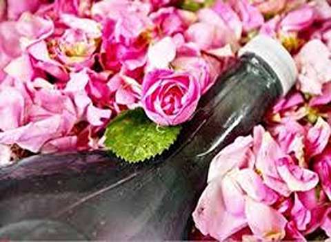 تصویر 2 از خرید و قیمت گلاب دوآتیشه اصل  + فروش عمده